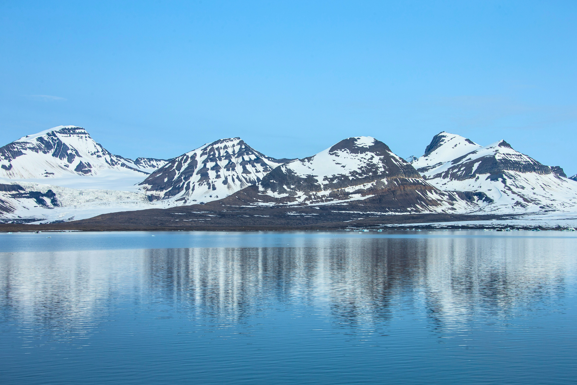burgerbukta, hornsund (2).webp